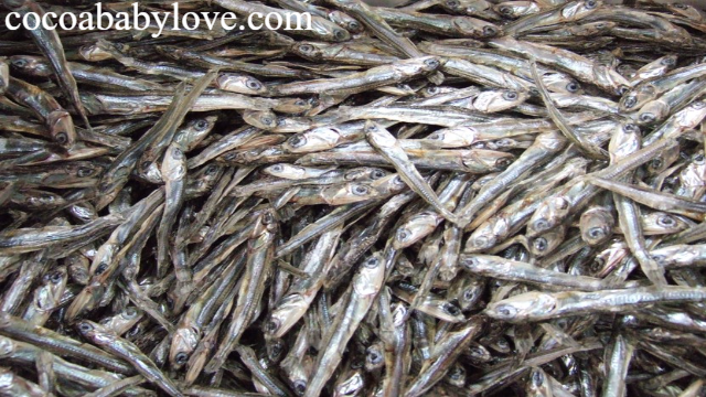 Khasiat Ikan Teri untuk Anak Berdasarkan Kandungannya