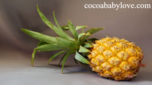 5 Khasiat Buah Nanas untuk Anak